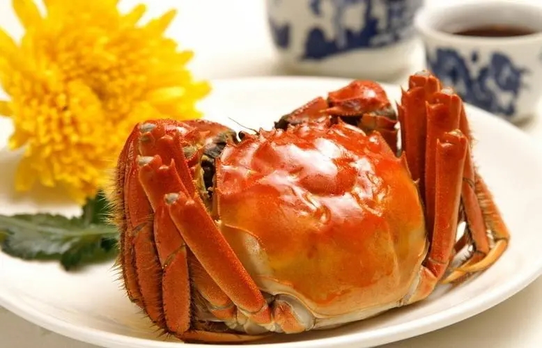 u=2169442719,4255890773&fm=253&fmt=auto&app=138&f=JPEG.webp.jpg