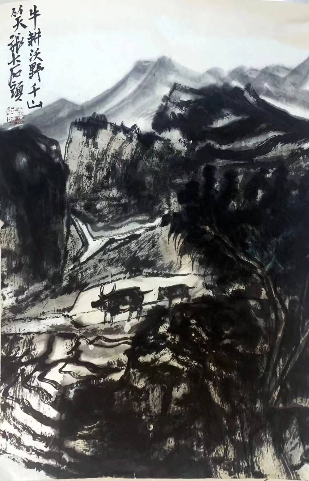 微信图片_20240123165057.jpg