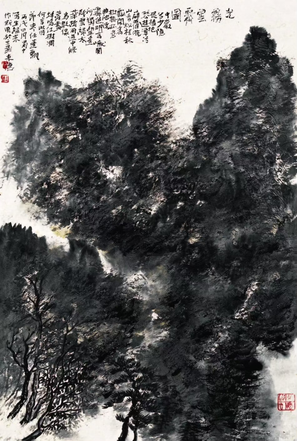 微信图片_20240123172309.jpg